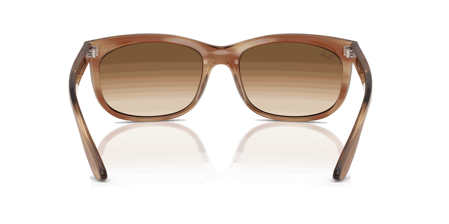 [Clear Gradient Brown Lenses, Polished Striped Brown Frame]
