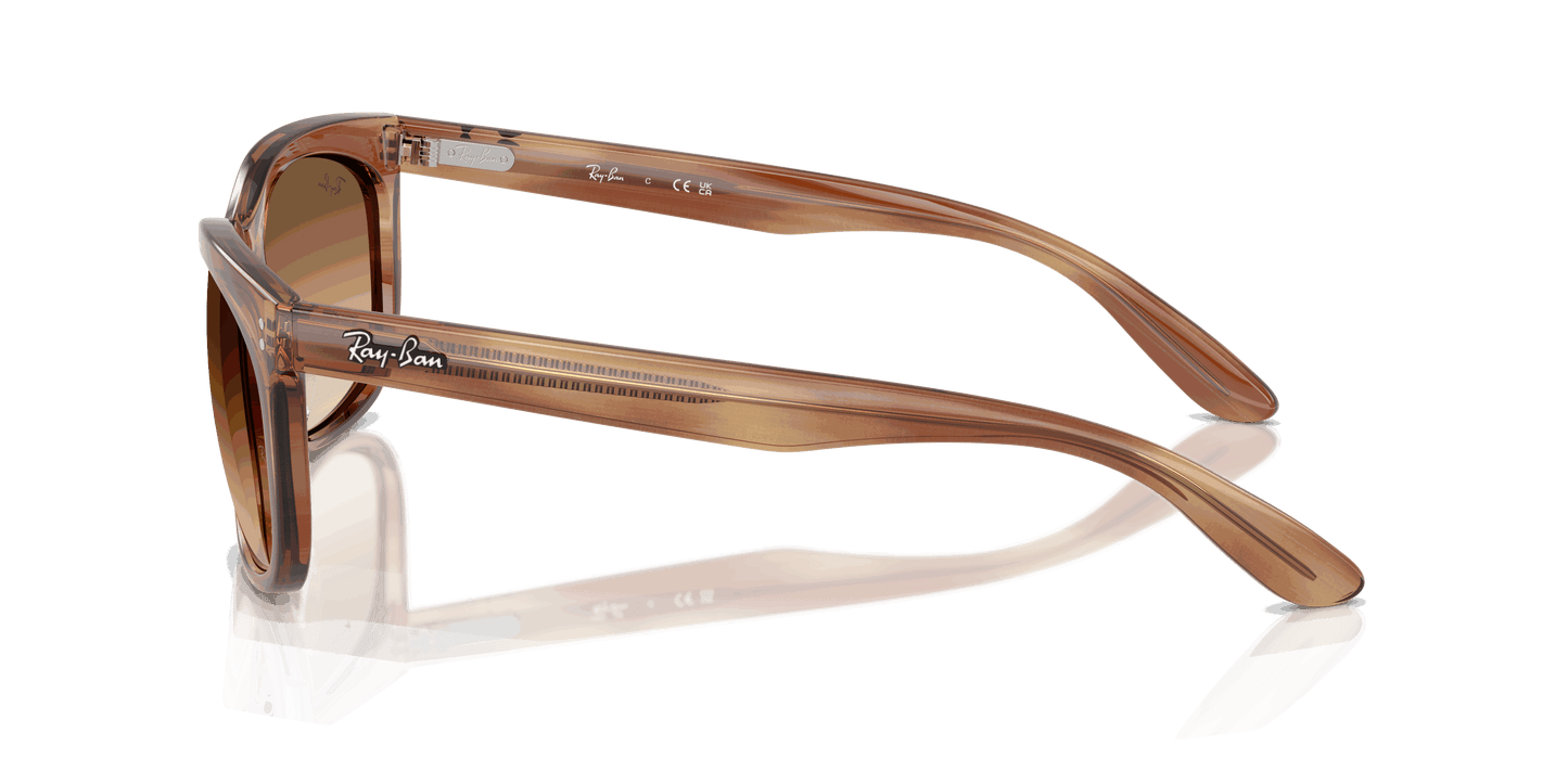 [Clear Gradient Brown Lenses, Polished Striped Brown Frame]