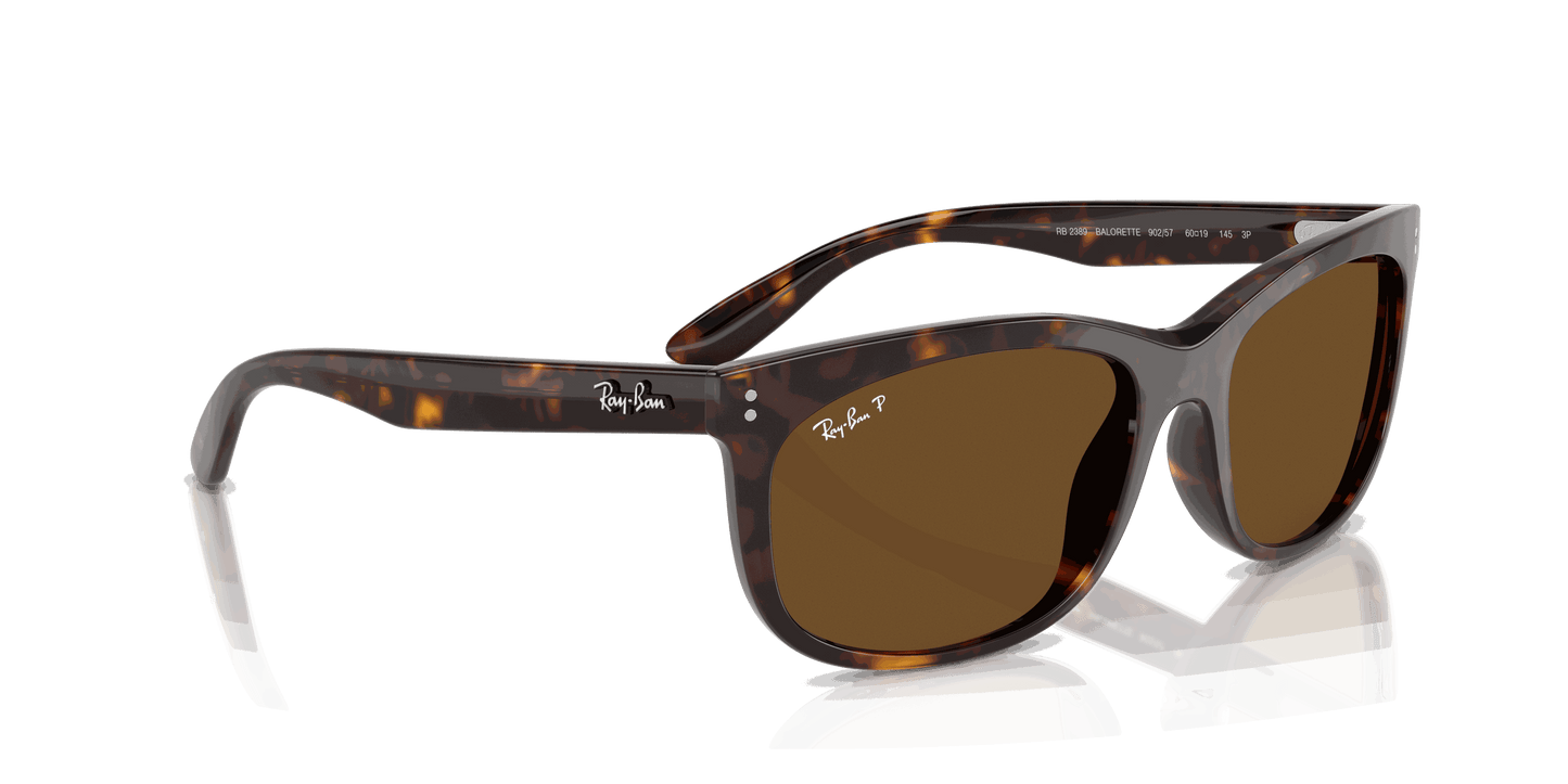 [B-15 Brown Lenses, Polished Havana Frame]