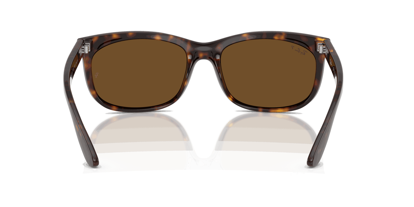 [B-15 Brown Lenses, Polished Havana Frame]