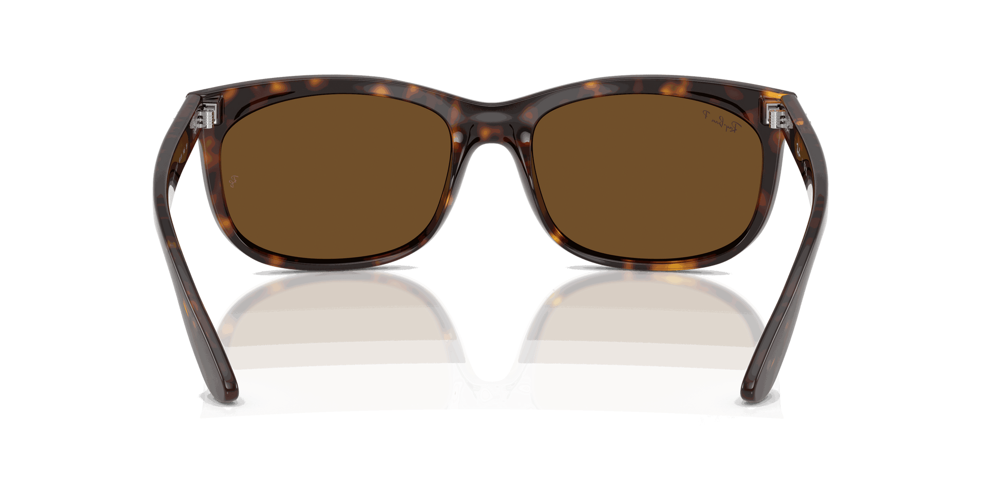[B-15 Brown Lenses, Polished Havana Frame]