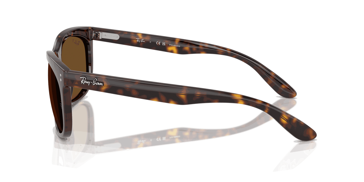 [B-15 Brown Lenses, Polished Havana Frame]