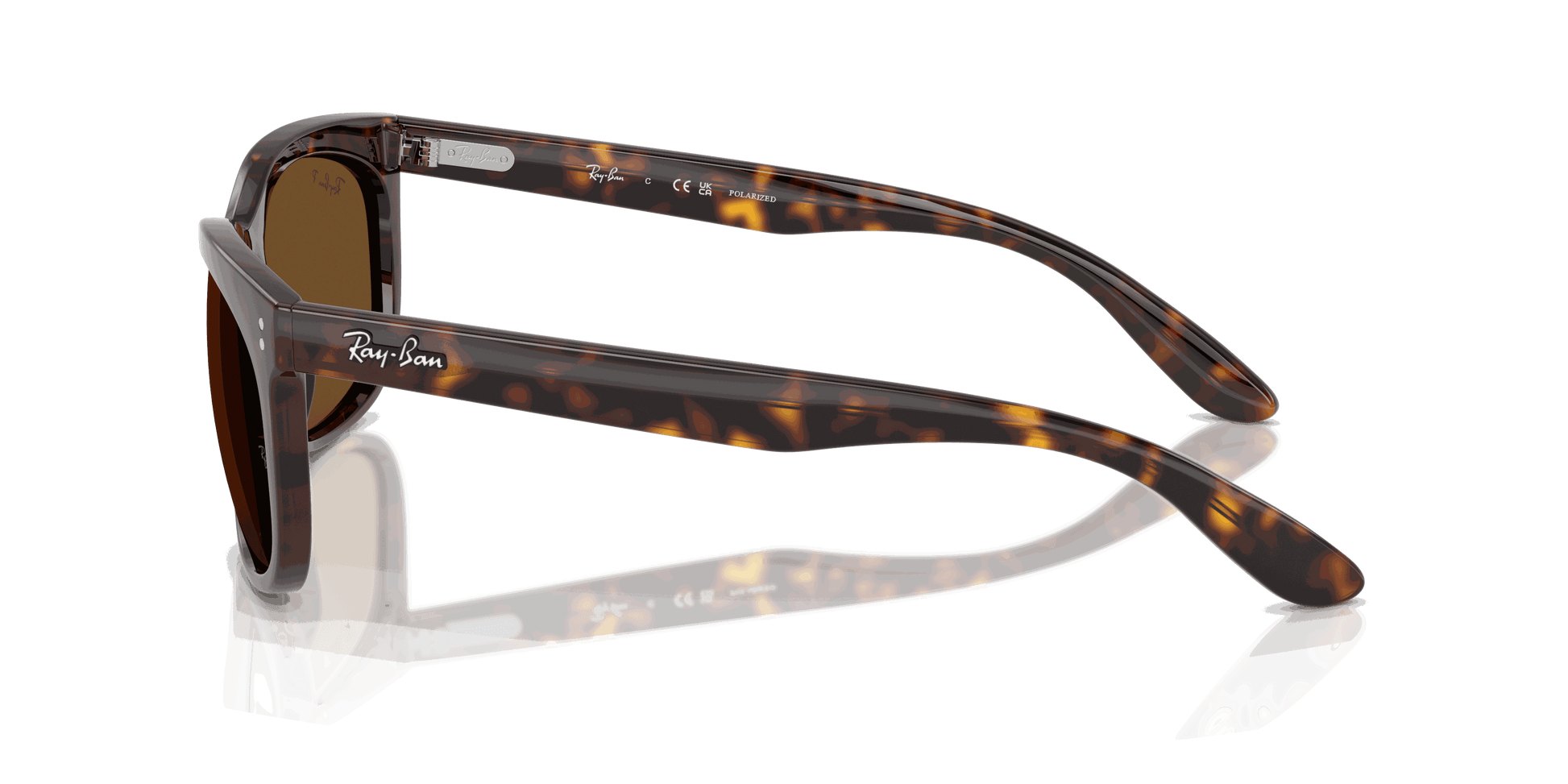 [B-15 Brown Lenses, Polished Havana Frame]
