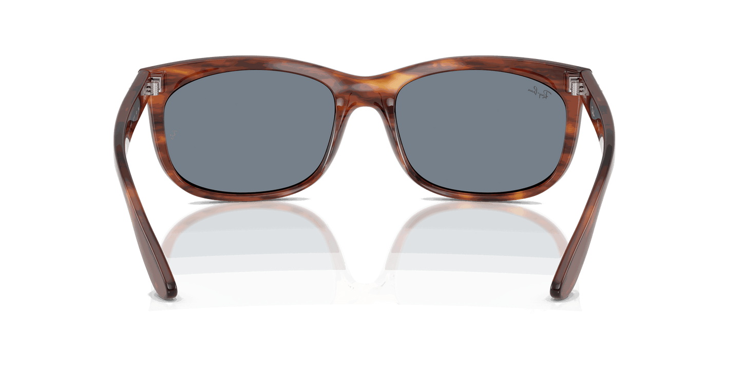 [Blue Lenses, Polished Striped Havana Frame]