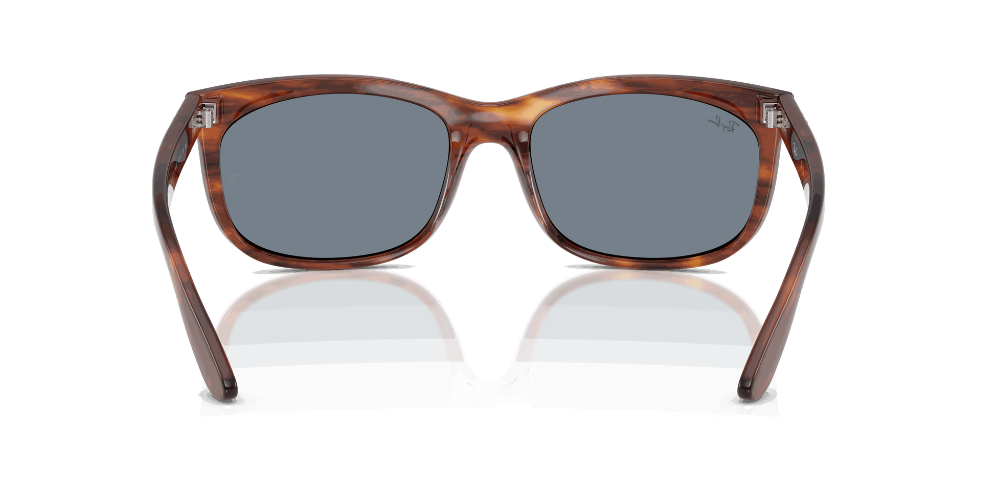 [Blue Lenses, Polished Striped Havana Frame]