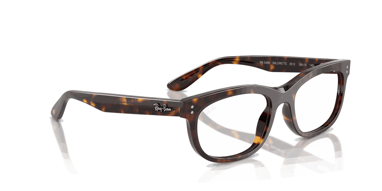 [Clear Lenses, Polished Havana Frame]