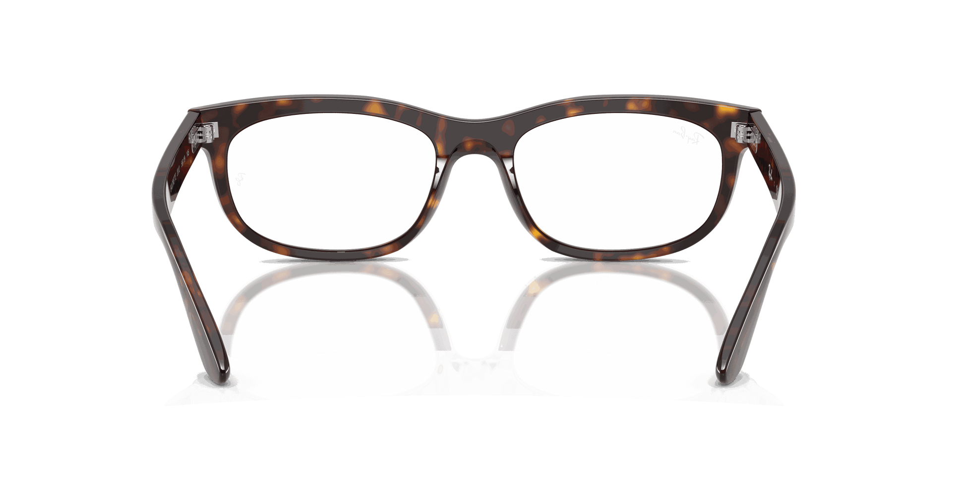 [Clear Lenses, Polished Havana Frame]