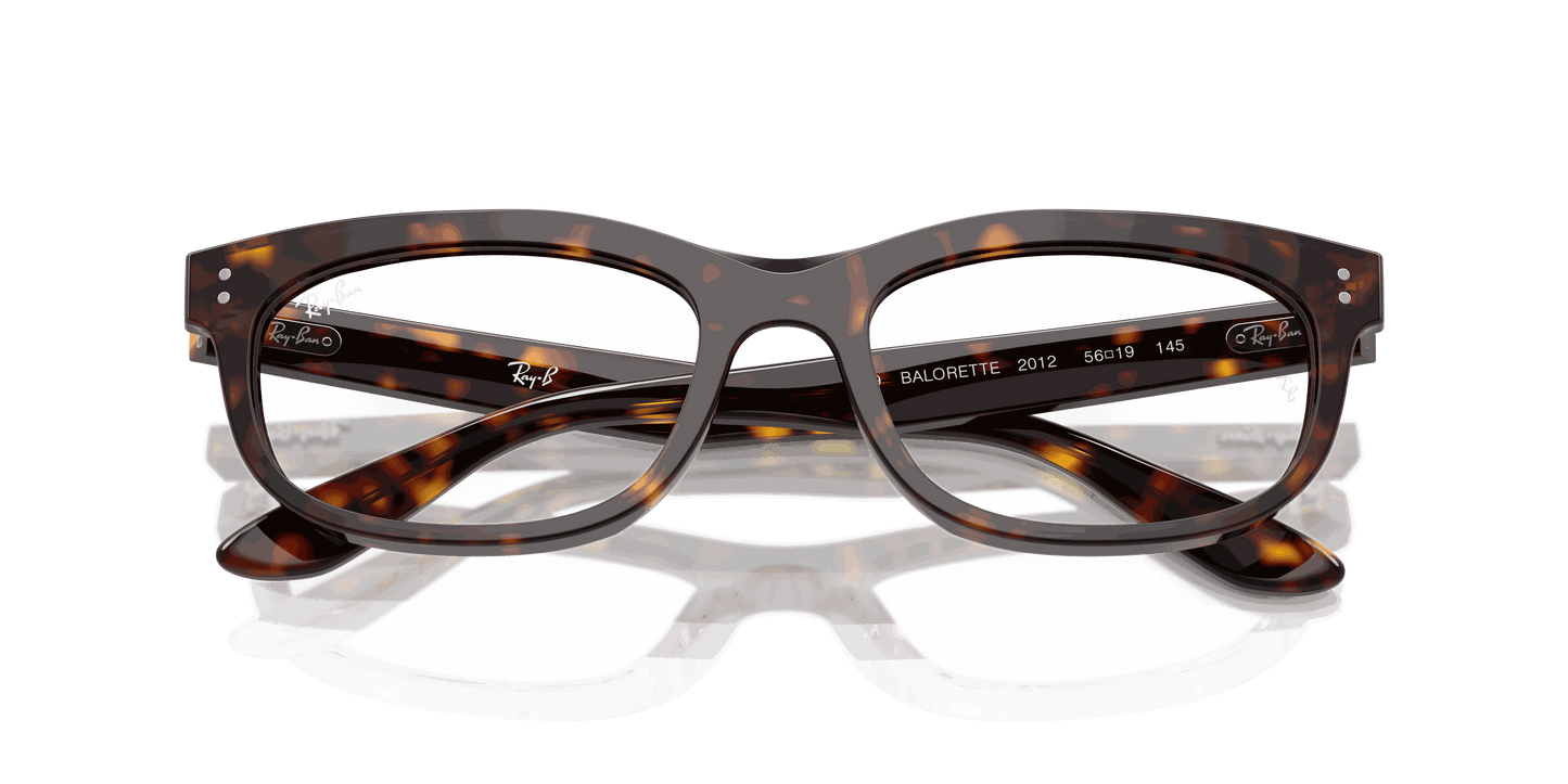 [Clear Lenses, Polished Havana Frame]