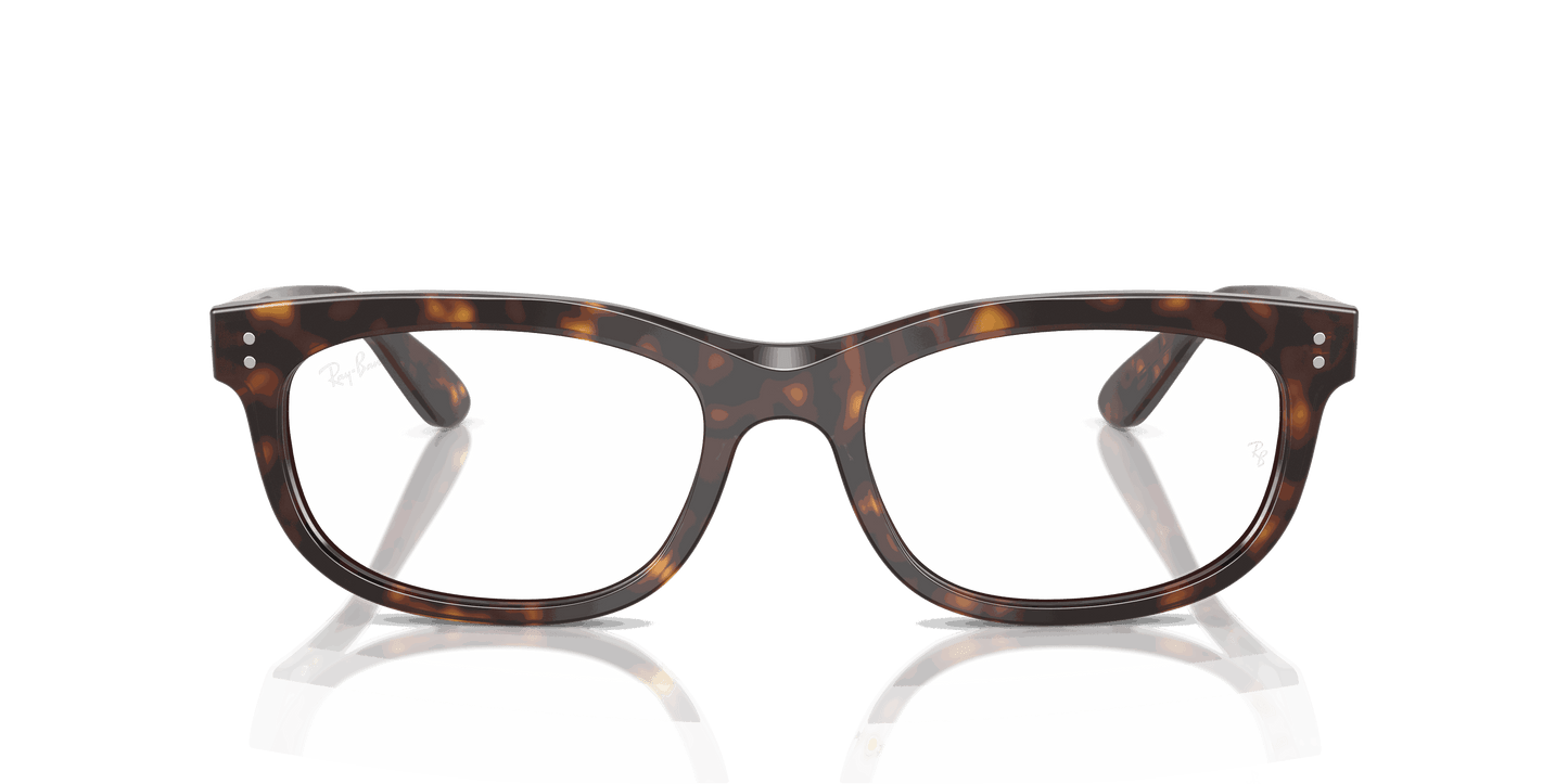 [Clear Lenses, Polished Havana Frame]