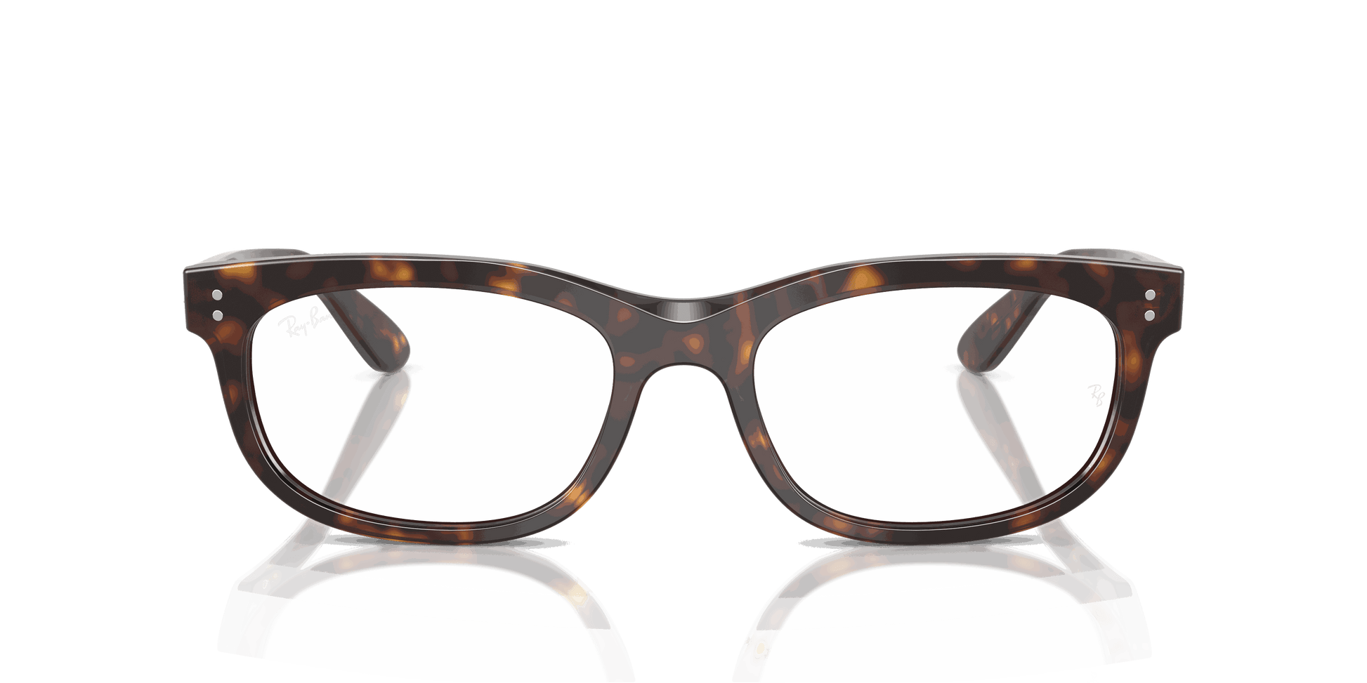 [Clear Lenses, Polished Havana Frame]