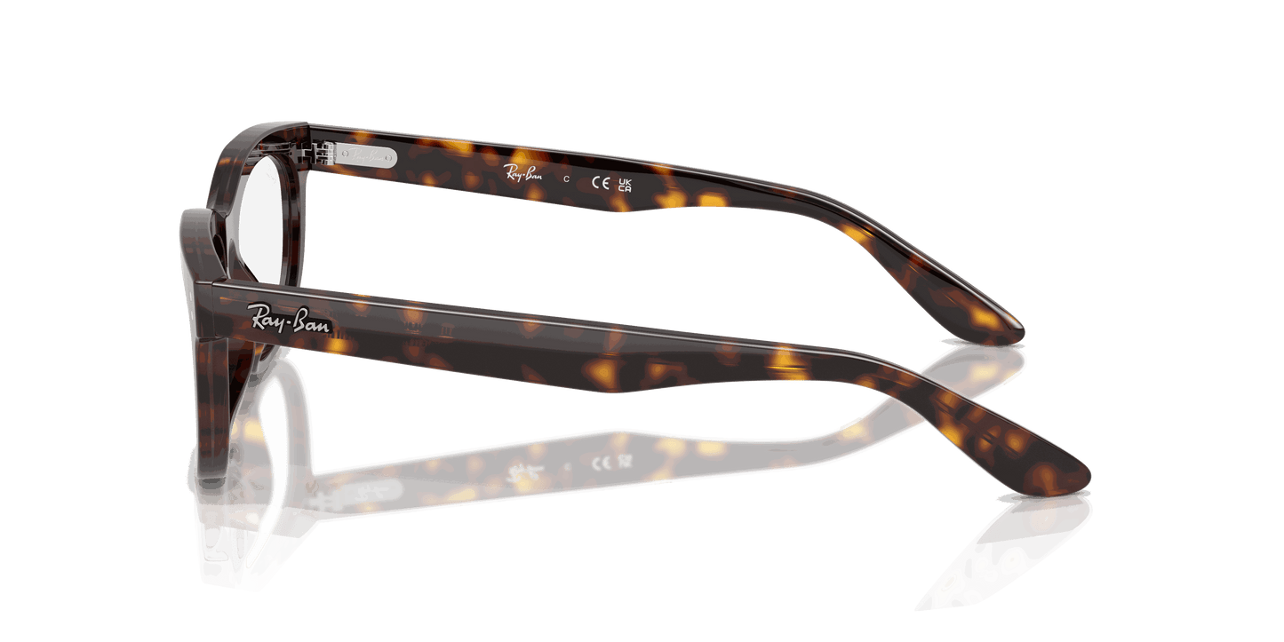 [Clear Lenses, Polished Havana Frame]
