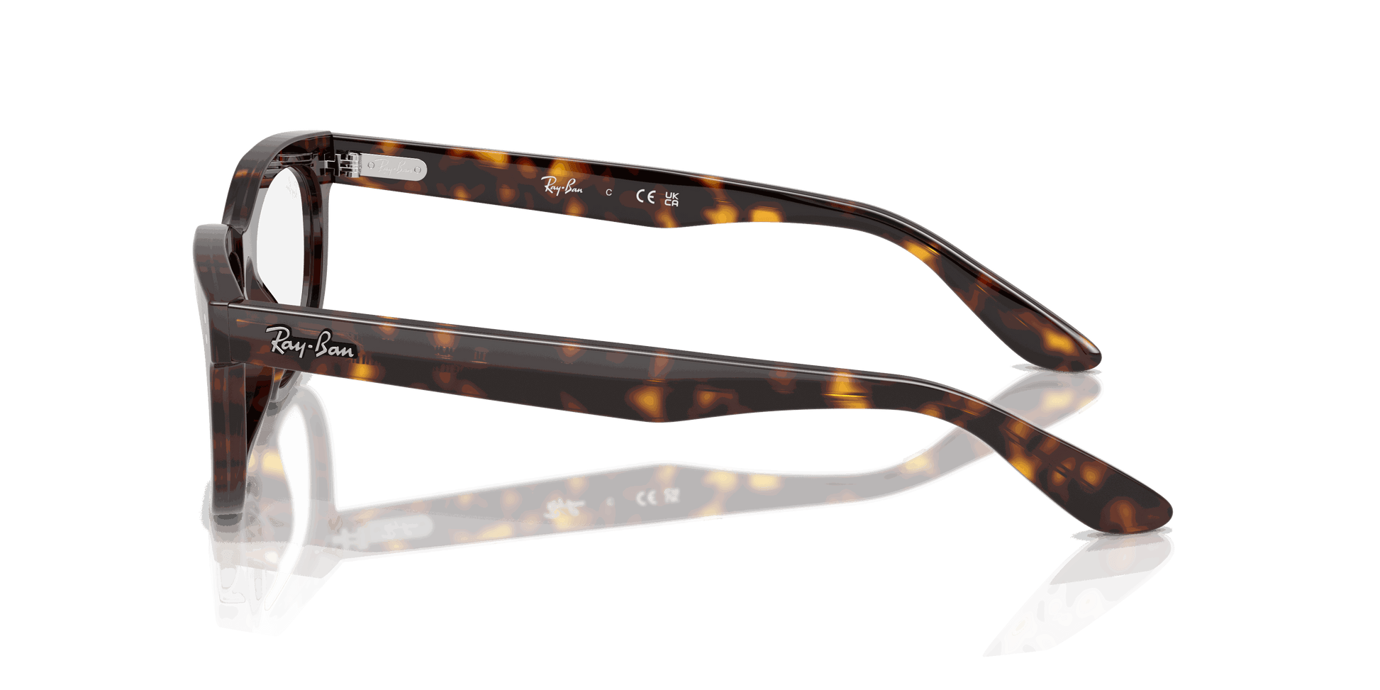 [Clear Lenses, Polished Havana Frame]