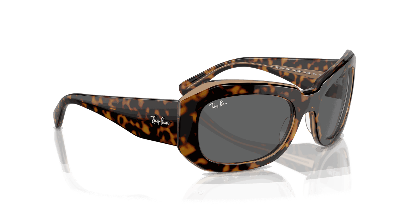 [Dark Grey Lenses, Polished Havana On Transparent Brown Frame]