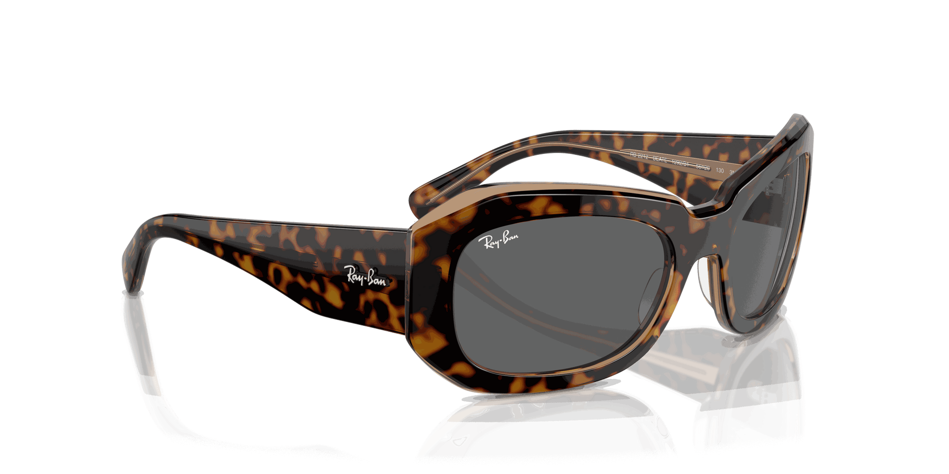 [Dark Grey Lenses, Polished Havana On Transparent Brown Frame]