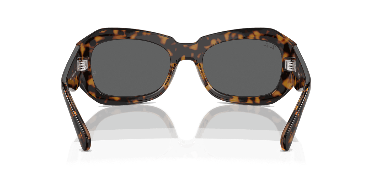 [Dark Grey Lenses, Polished Havana On Transparent Brown Frame]