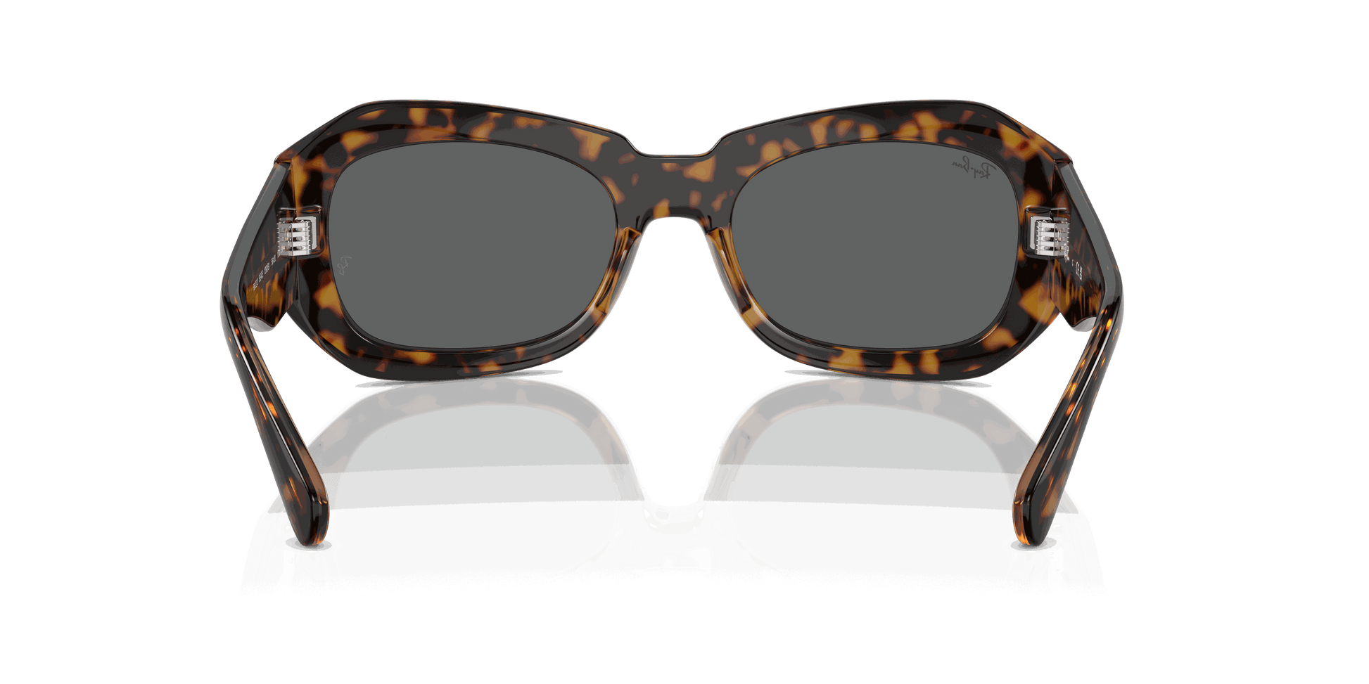 [Dark Grey Lenses, Polished Havana On Transparent Brown Frame]