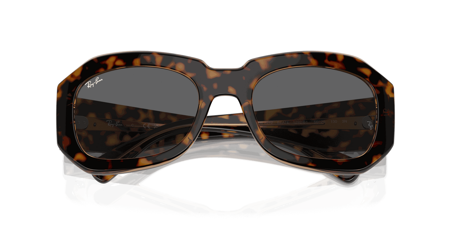 [Dark Grey Lenses, Polished Havana On Transparent Brown Frame]