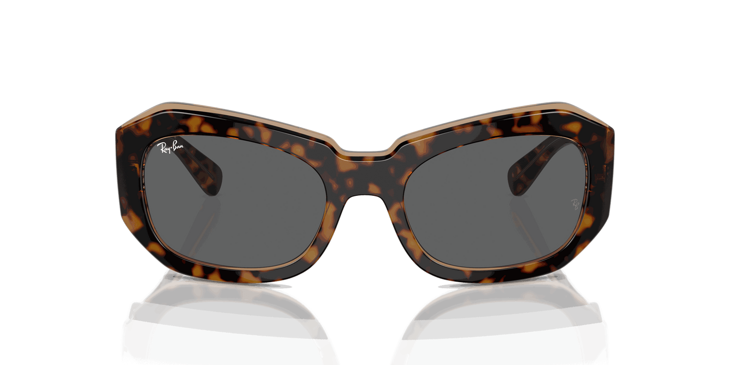 [Dark Grey Lenses, Polished Havana On Transparent Brown Frame]