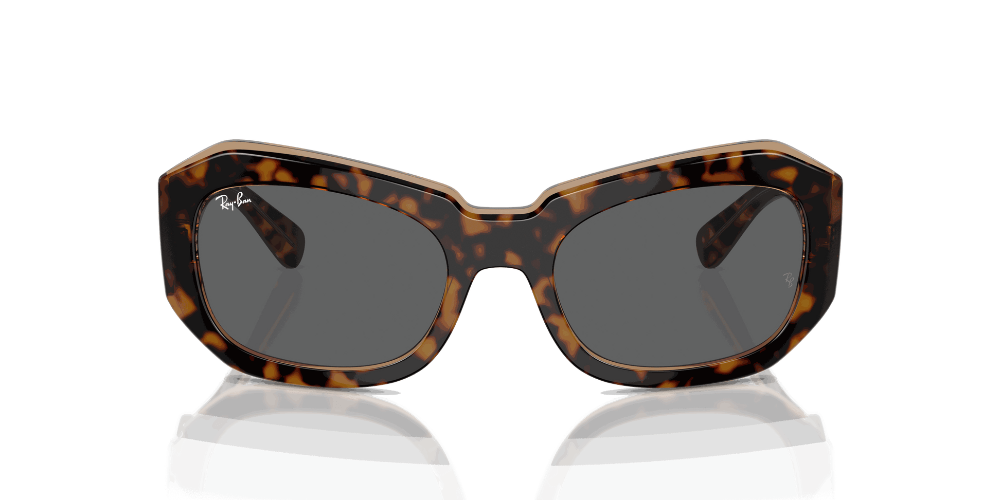 [Dark Grey Lenses, Polished Havana On Transparent Brown Frame]