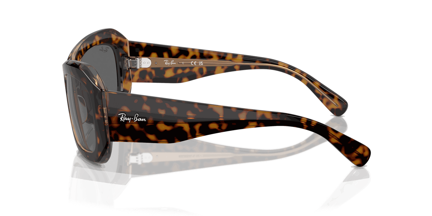 [Dark Grey Lenses, Polished Havana On Transparent Brown Frame]