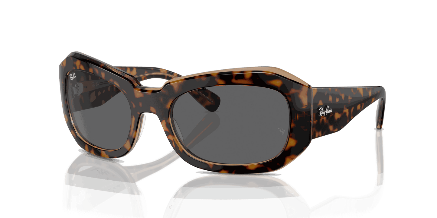 [Dark Grey Lenses, Polished Havana On Transparent Brown Frame]