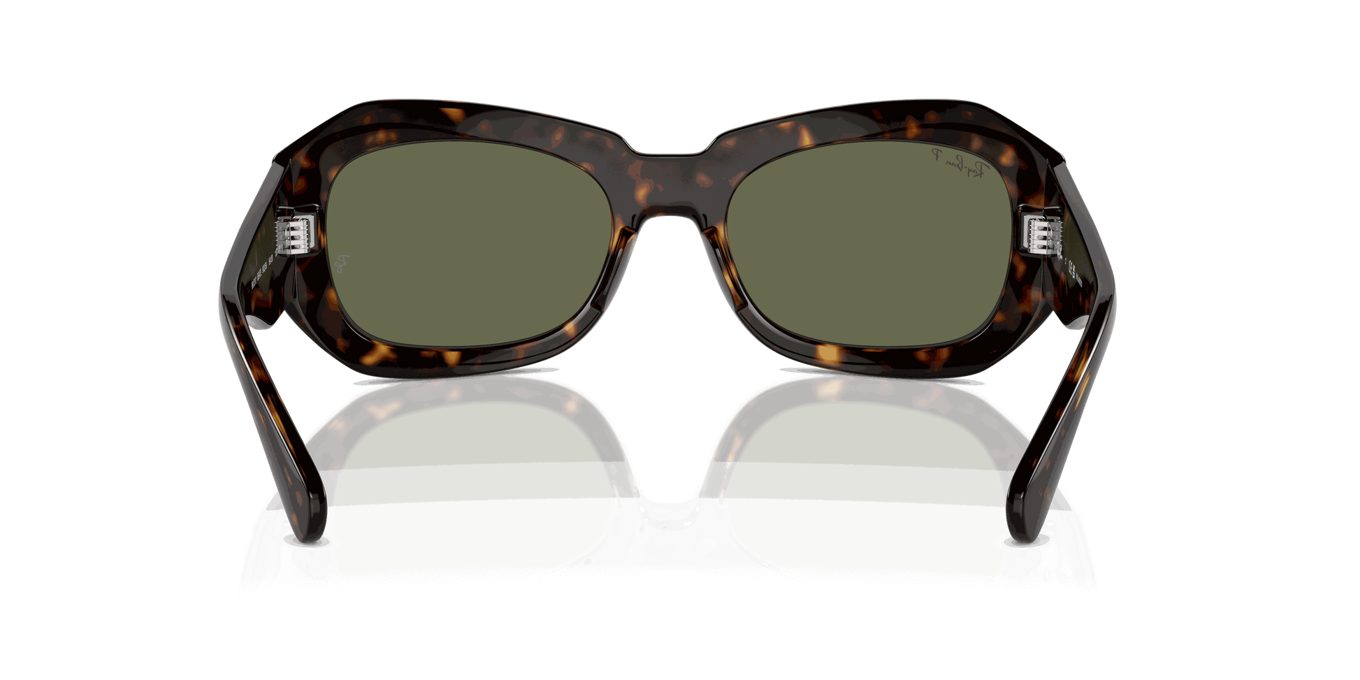 [Green Lenses, Polished Havana Frame]