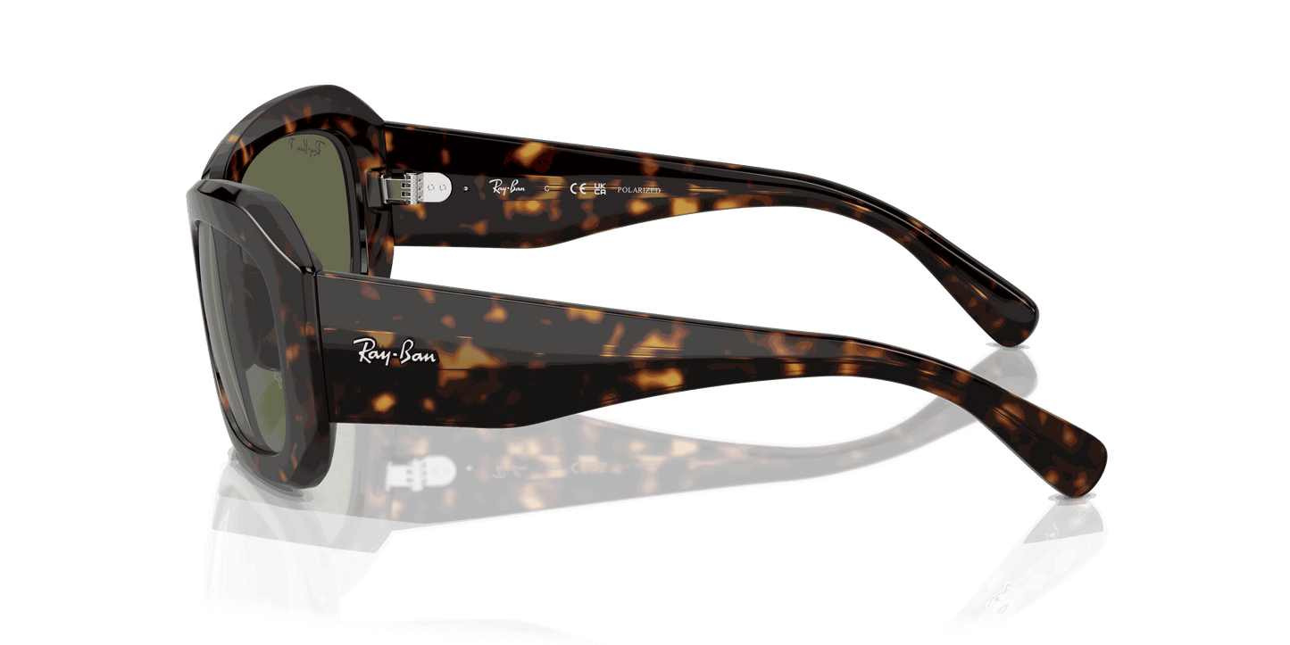 [Green Lenses, Polished Havana Frame]
