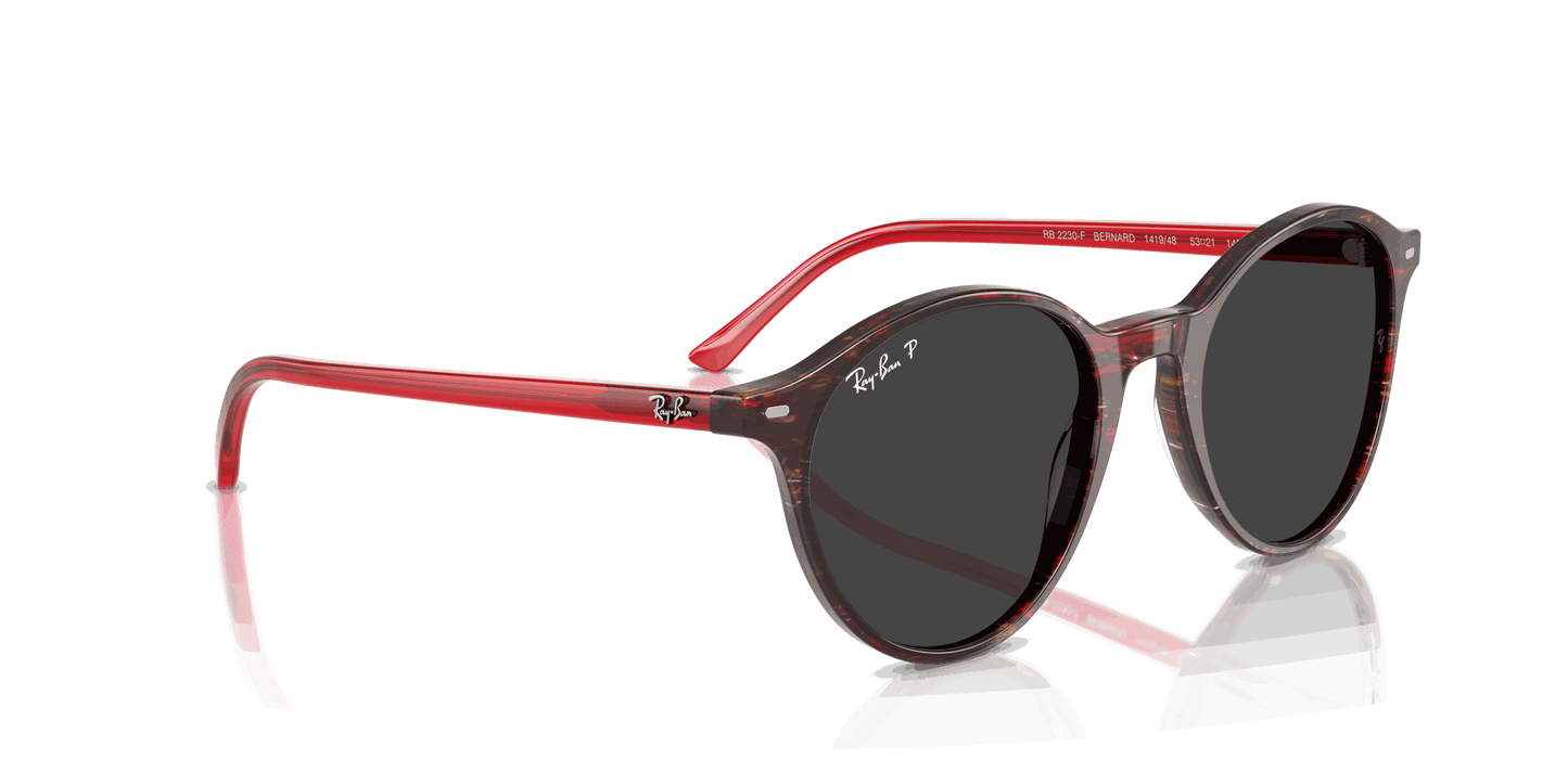 [Polar Black Lenses, Polished Transparent Shade Fantasy Red Frame]