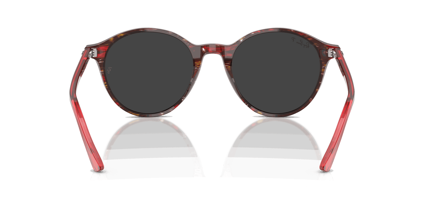 [Polar Black Lenses, Polished Transparent Shade Fantasy Red Frame]