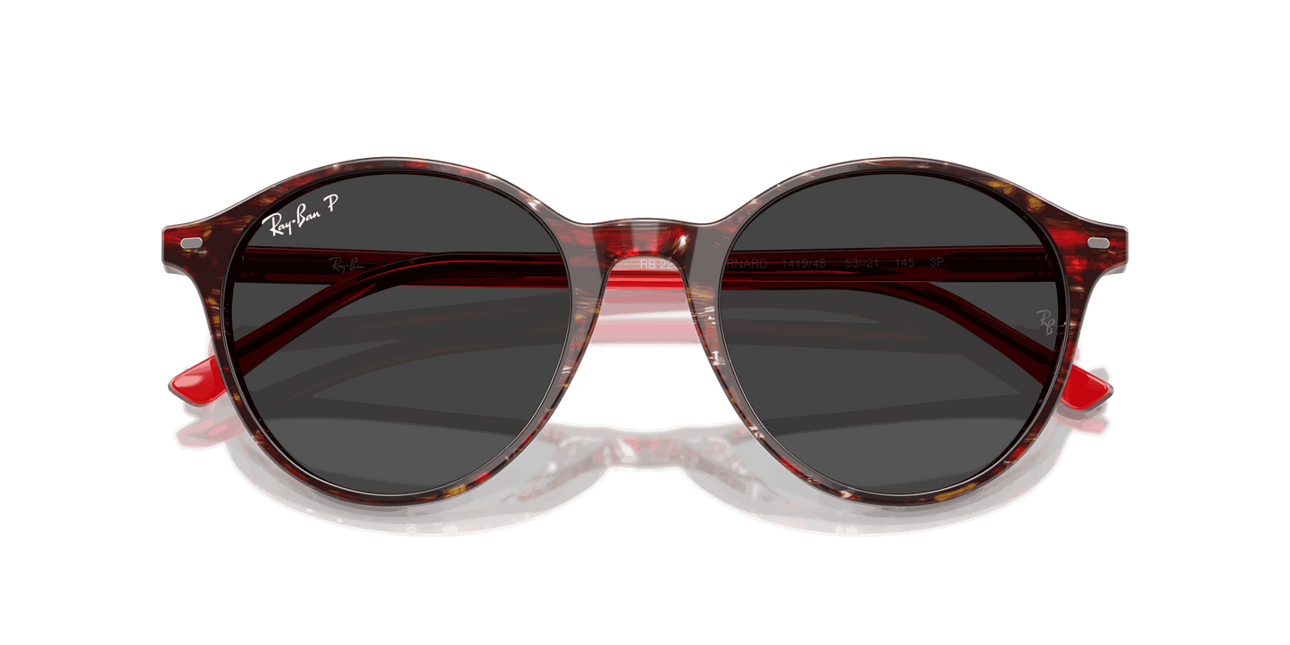 [Polar Black Lenses, Polished Transparent Shade Fantasy Red Frame]