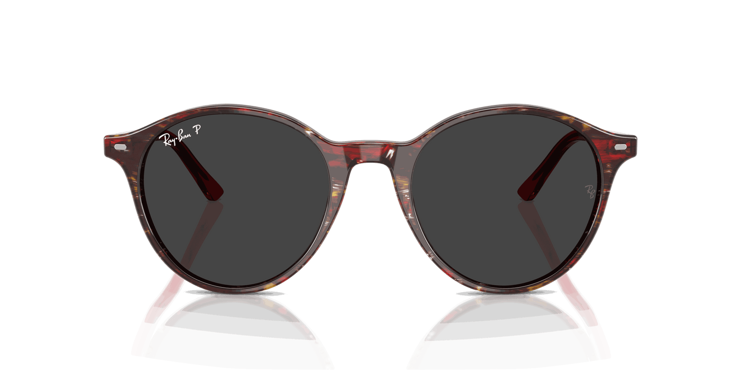 [Polar Black Lenses, Polished Transparent Shade Fantasy Red Frame]