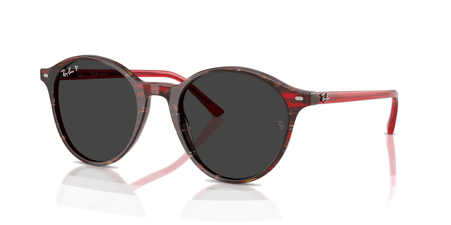 [Polar Black Lenses, Polished Transparent Shade Fantasy Red Frame]