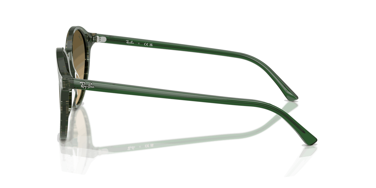 [Brown Lenses, Polished Transparent Shade Fantasy Green Frame]