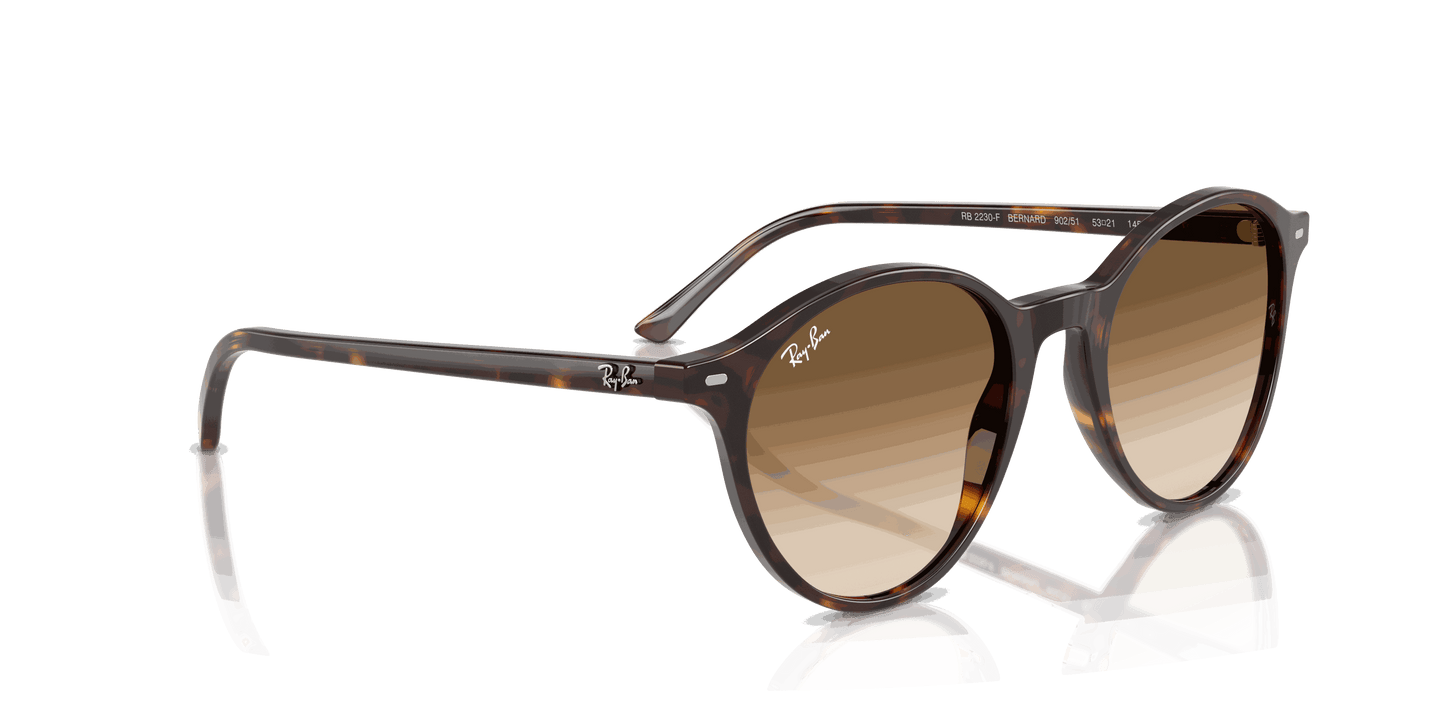 [Clear Gradient Brown Lenses, Polished Havana Frame]
