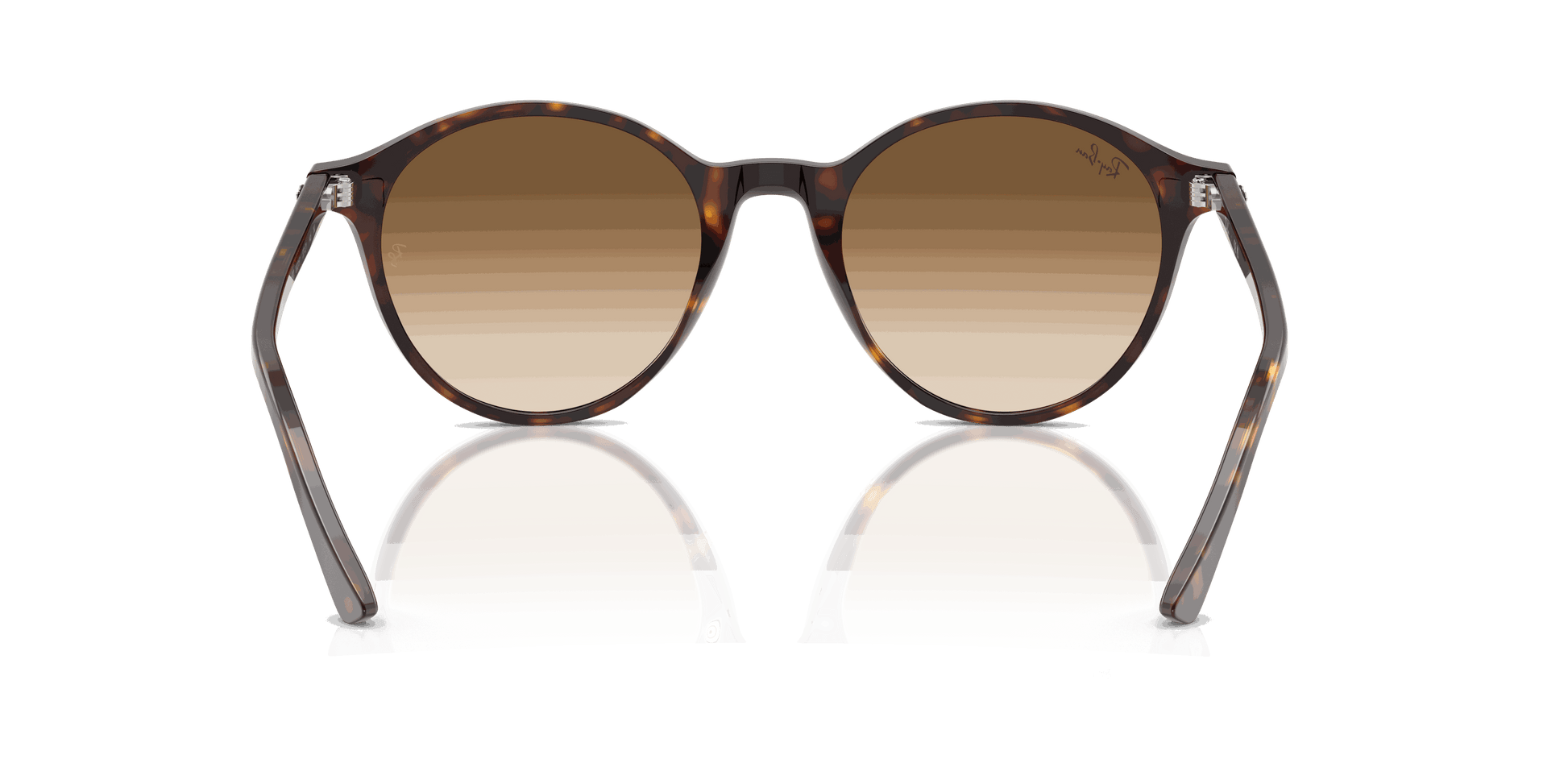 [Clear Gradient Brown Lenses, Polished Havana Frame]