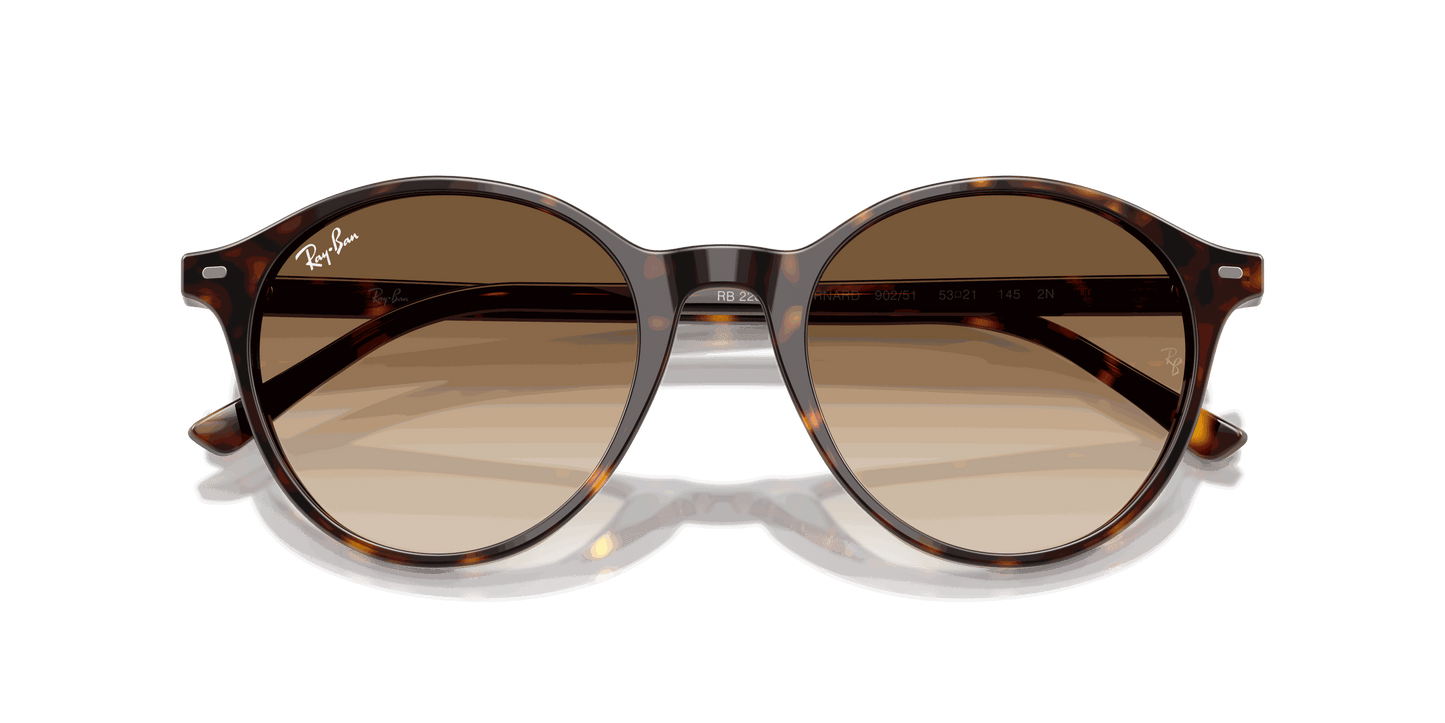 [Clear Gradient Brown Lenses, Polished Havana Frame]
