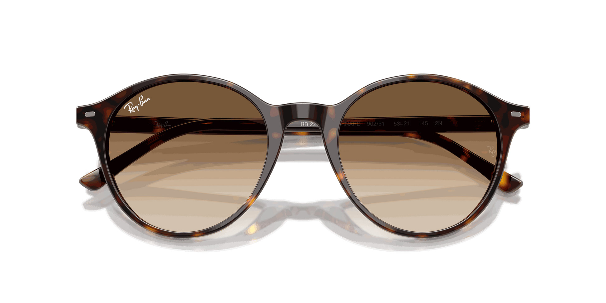 [Clear Gradient Brown Lenses, Polished Havana Frame]