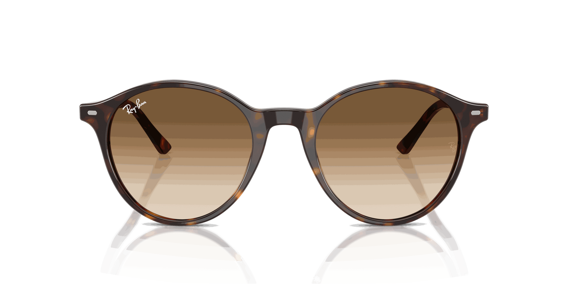 [Clear Gradient Brown Lenses, Polished Havana Frame]