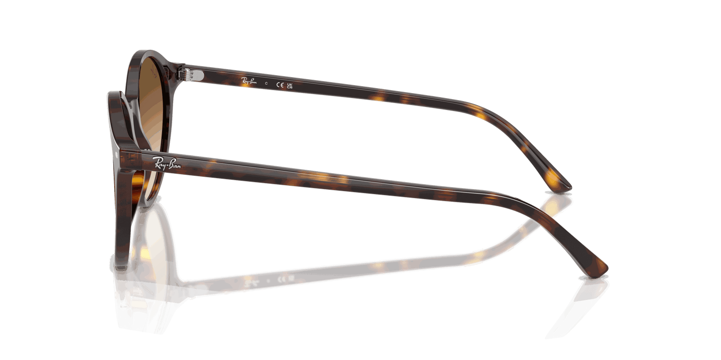[Clear Gradient Brown Lenses, Polished Havana Frame]