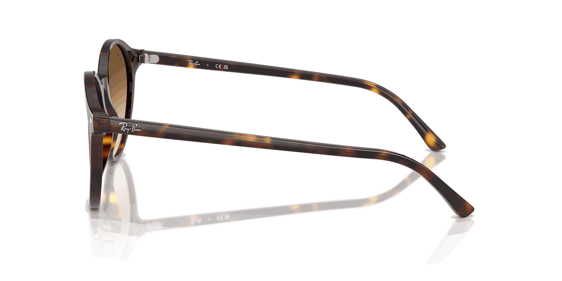 [Clear Gradient Brown Lenses, Polished Havana Frame]