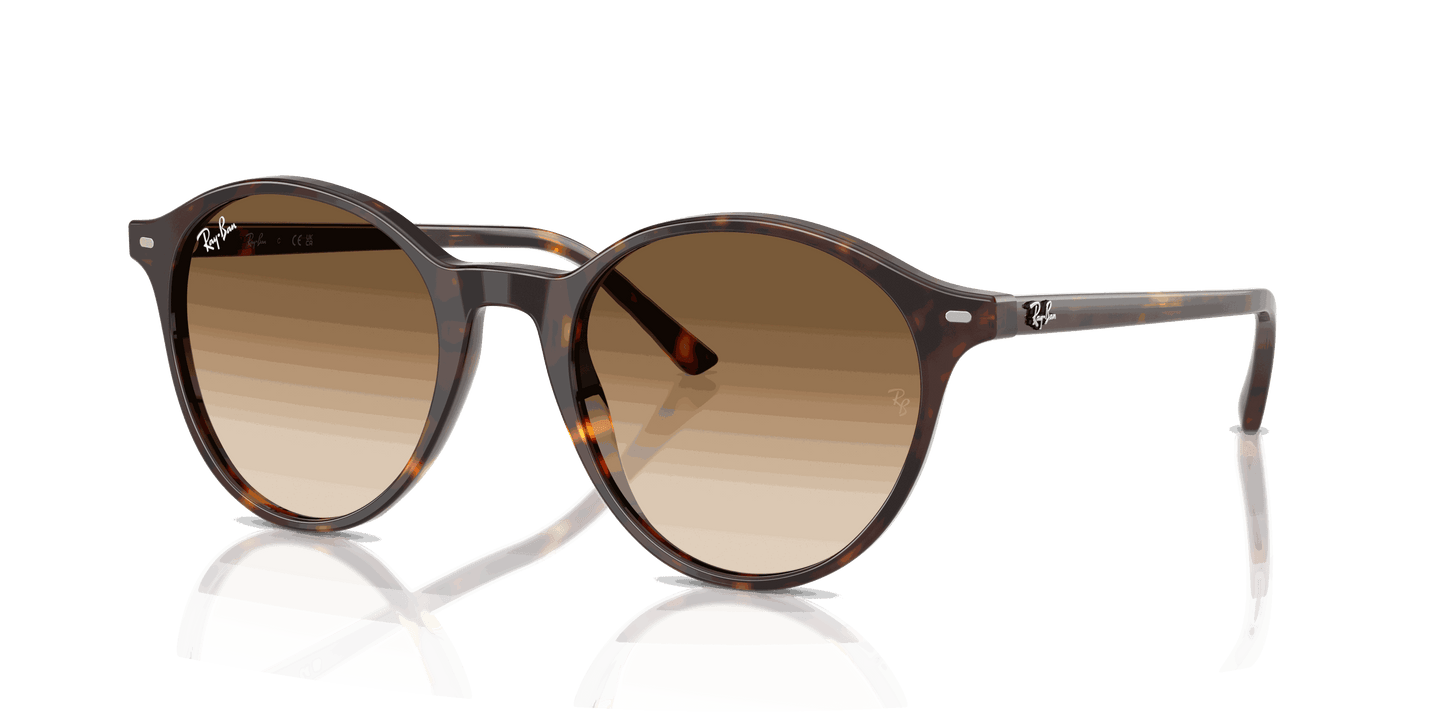 [Clear Gradient Brown Lenses, Polished Havana Frame]