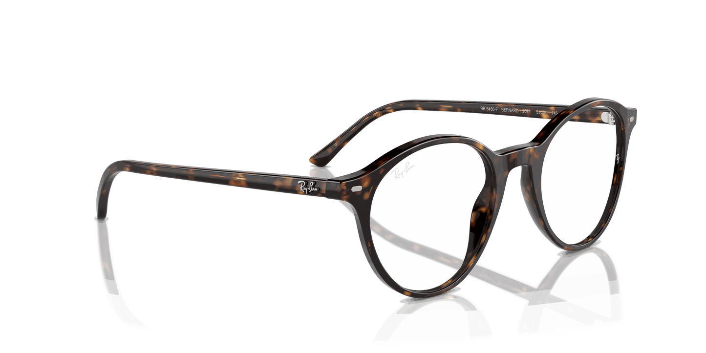 [Clear Lenses, Polished Havana Frame]