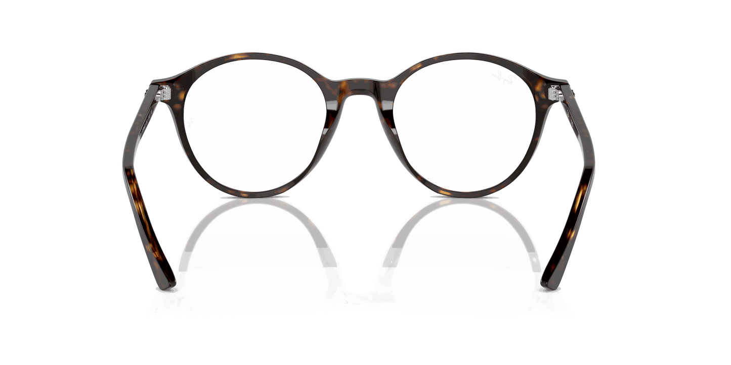 [Clear Lenses, Polished Havana Frame]