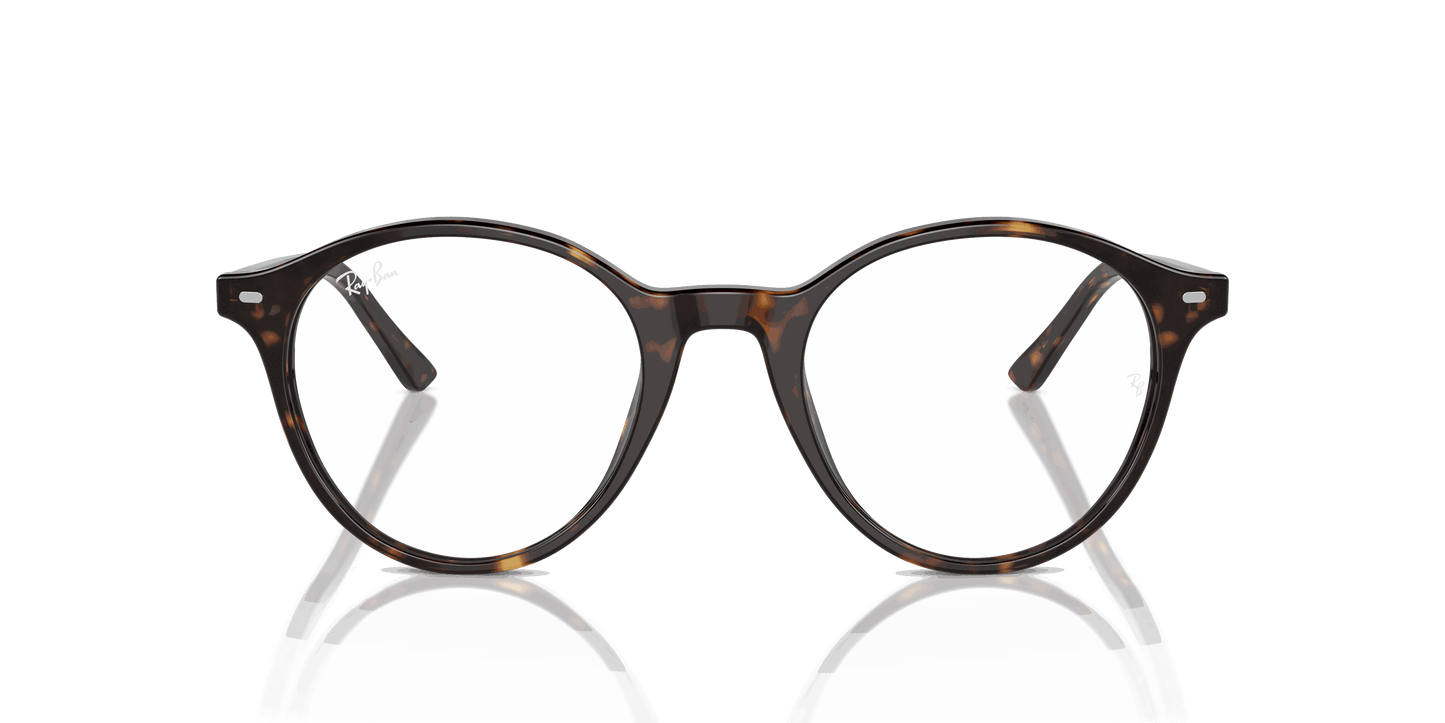 [Clear Lenses, Polished Havana Frame]