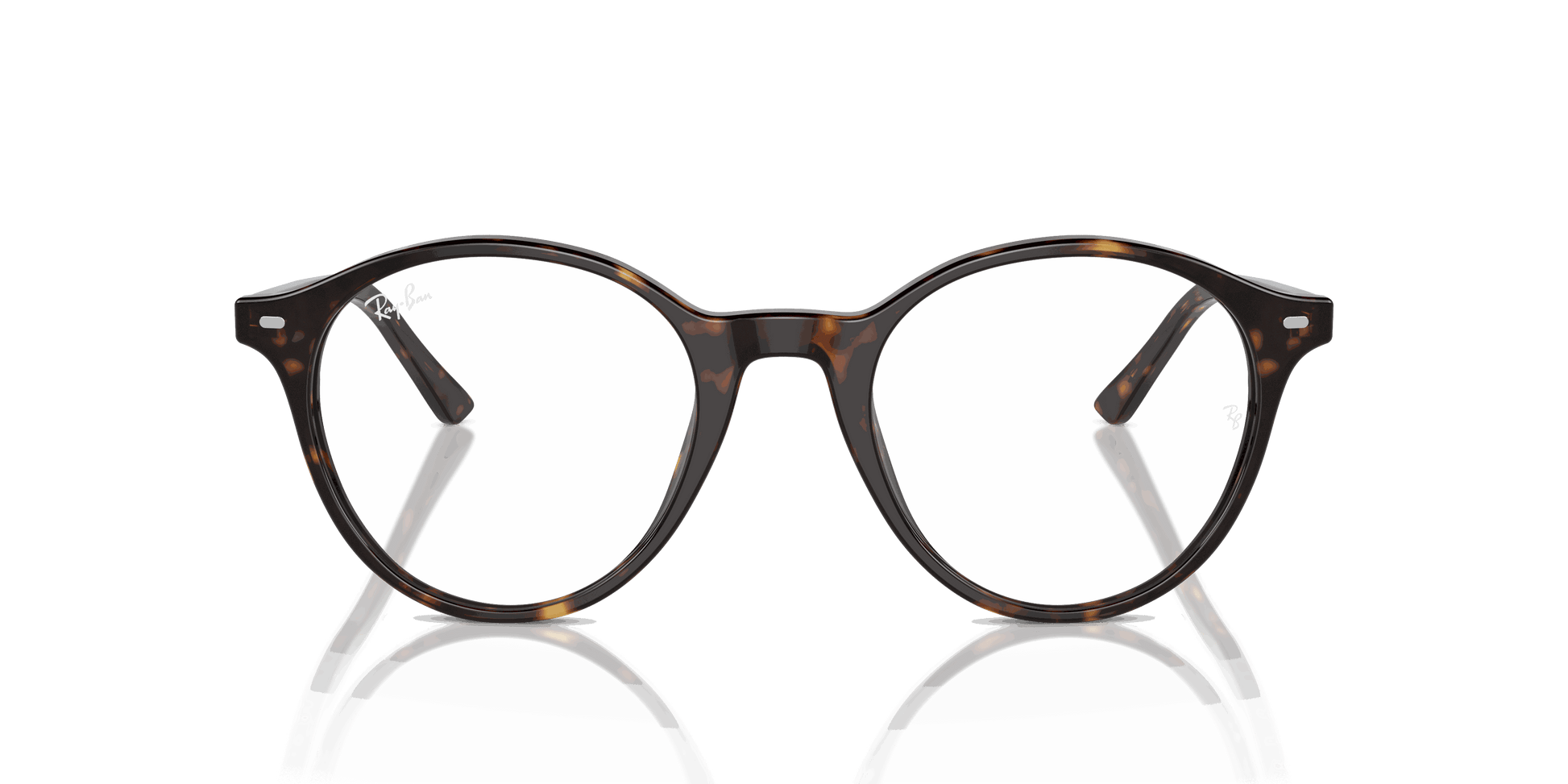 [Clear Lenses, Polished Havana Frame]