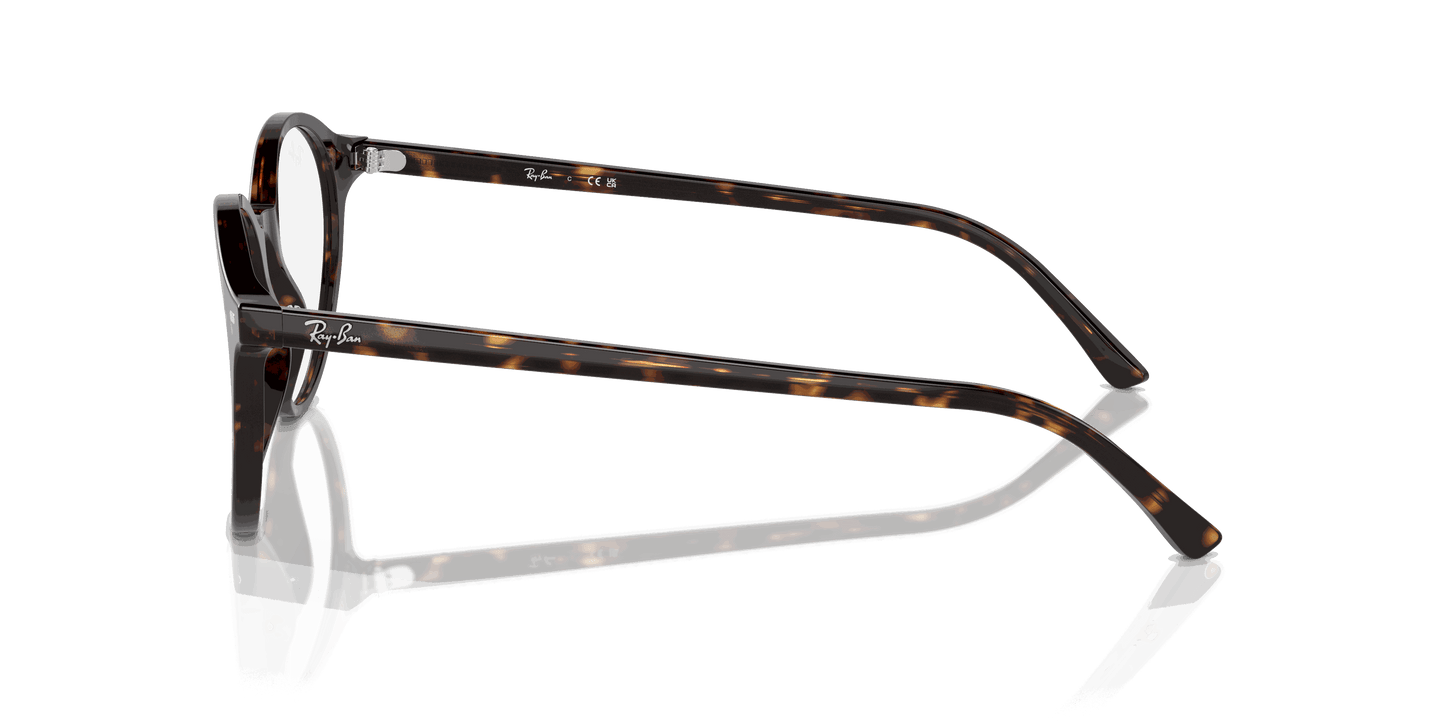 [Clear Lenses, Polished Havana Frame]