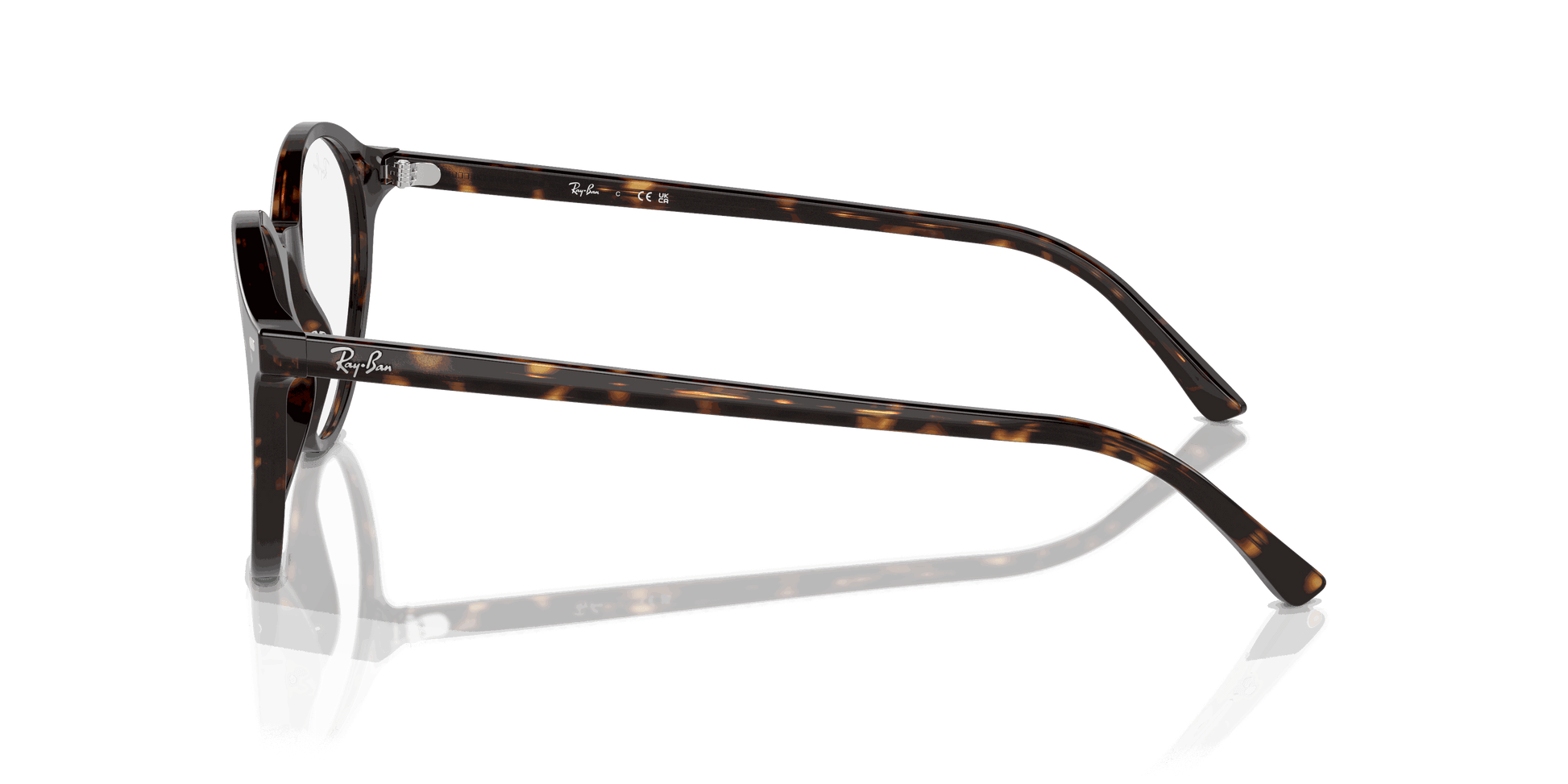 [Clear Lenses, Polished Havana Frame]