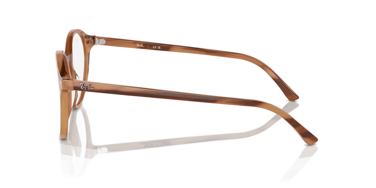 [Clear Lenses, Polished Striped Brown Frame]