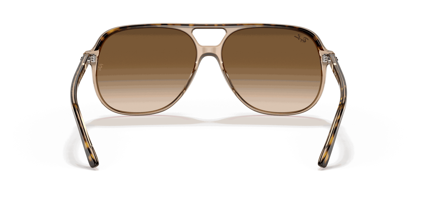 [Light Brown Gradient Lenses, Polished Havana On Transparent Brown Frame]