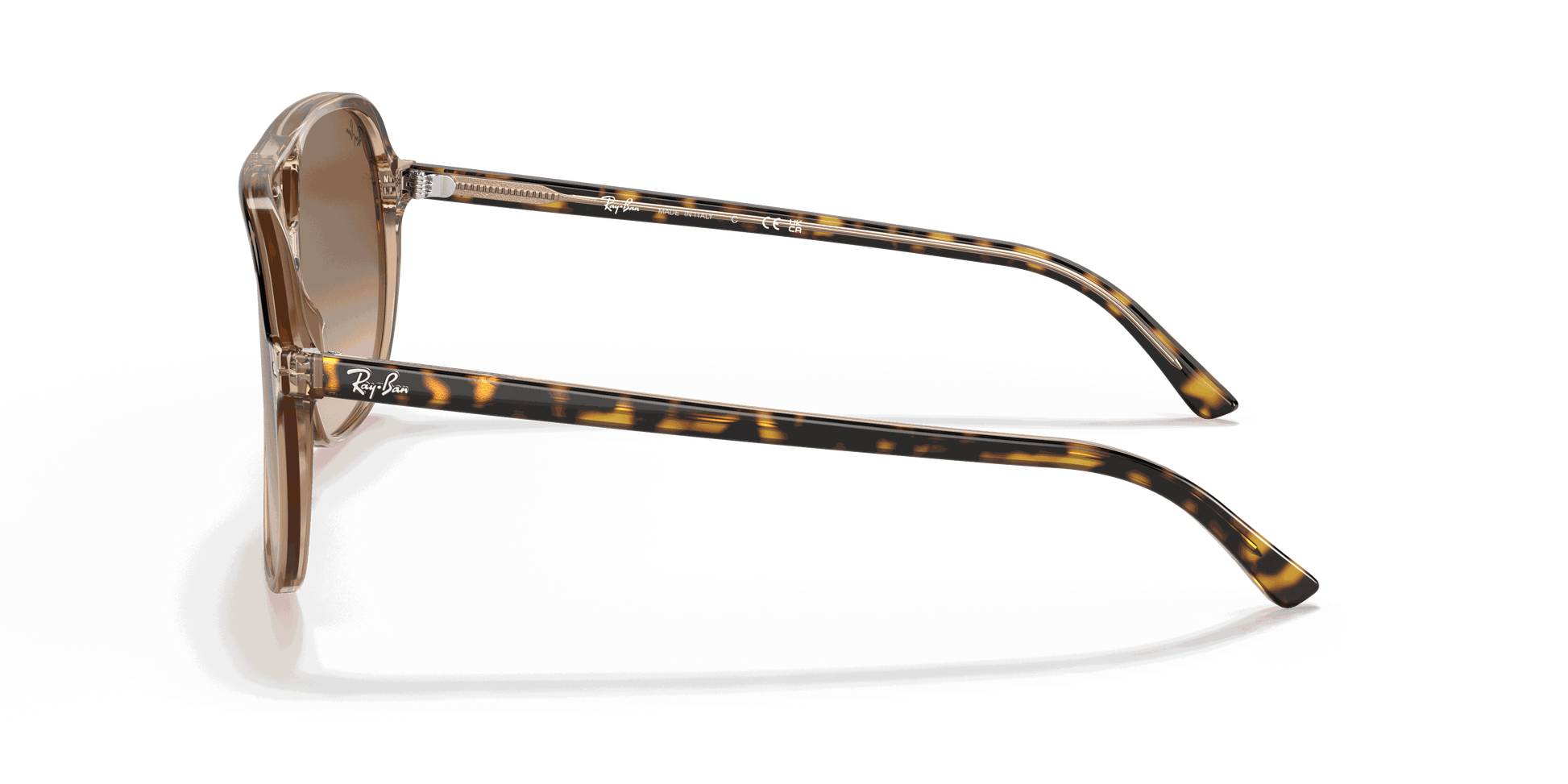 [Light Brown Gradient Lenses, Polished Havana On Transparent Brown Frame]